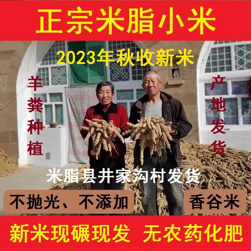 【羊粪种植】米脂小米2023新陕北油小米新婴儿农家孕妇小米粥5斤