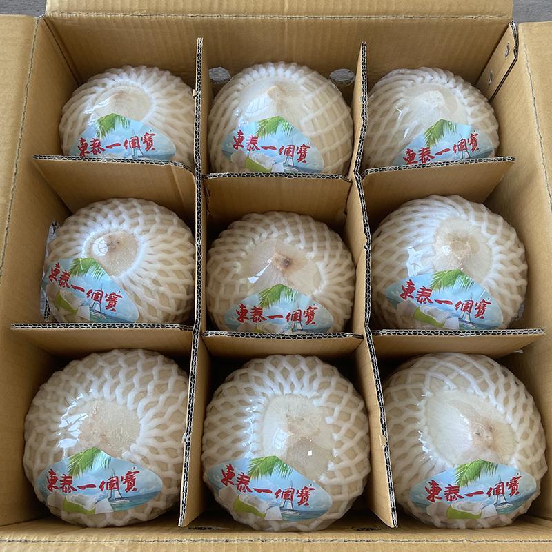 泰国椰青9个大果 进口奶香椰香水椰青 孕妇水果东泰椰子蛋包邮