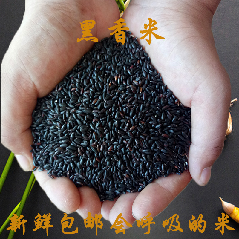 农家新米黑米粥黑大米五谷杂粮特级五斤包邮优质糙米黑香米原料