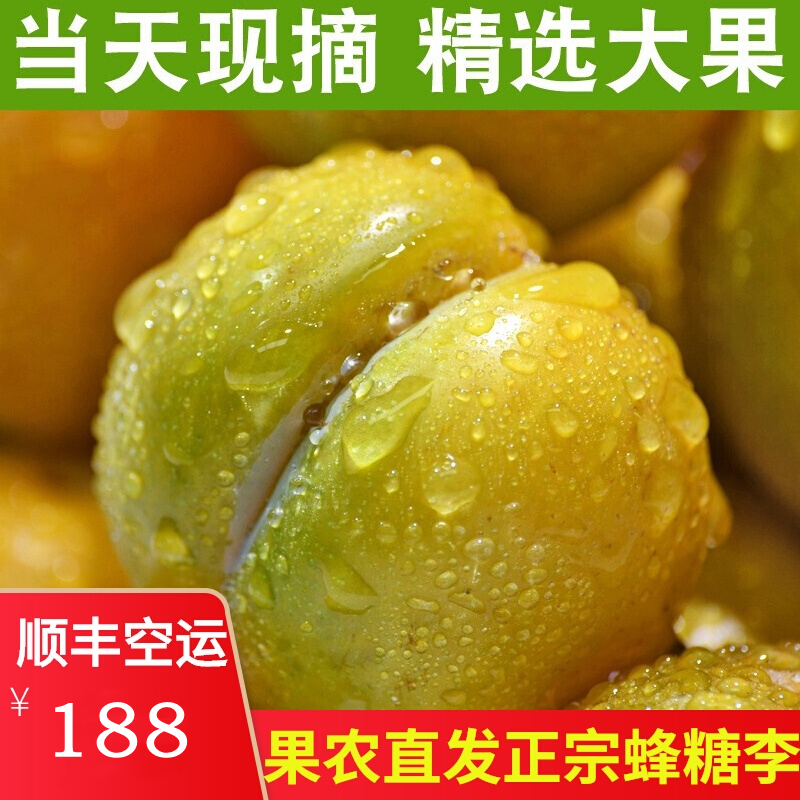 贵州镇宁蜂糖李子现摘现发孕妇新鲜水果当季脆甜六马蜂蜜李大果
