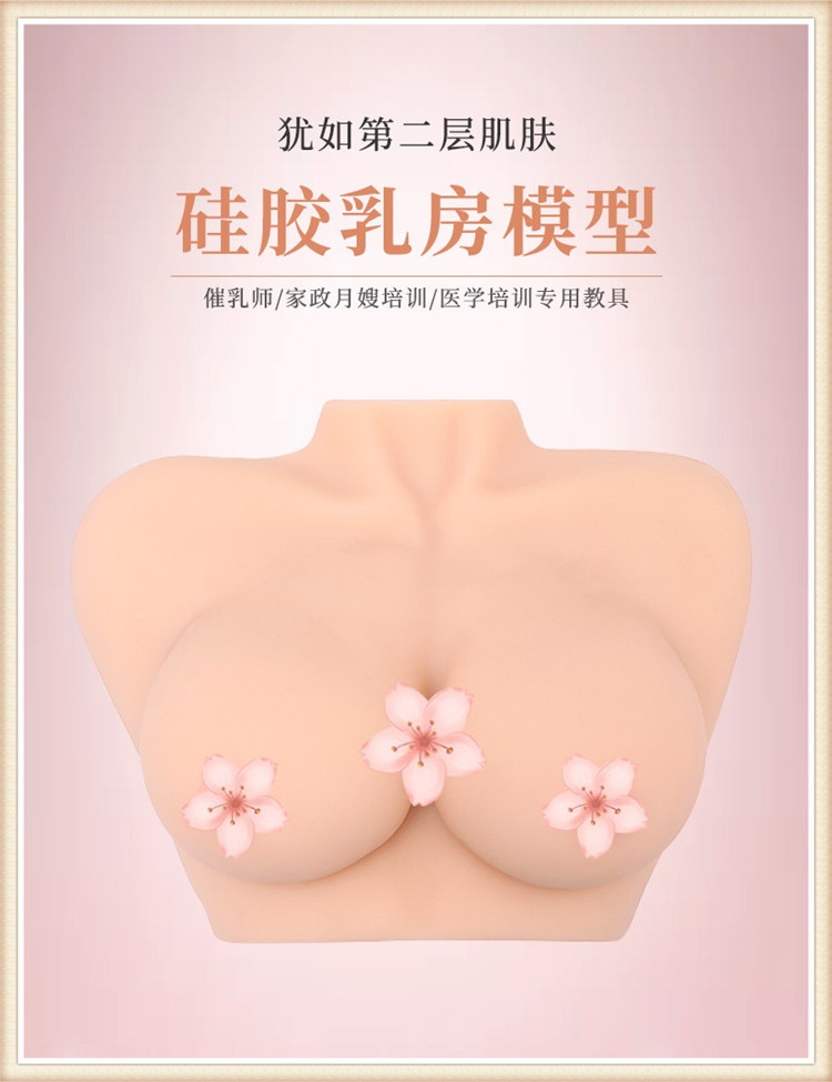 催乳师教具女性全实心硅胶乳房模型家政月嫂培训医学用假乳房软