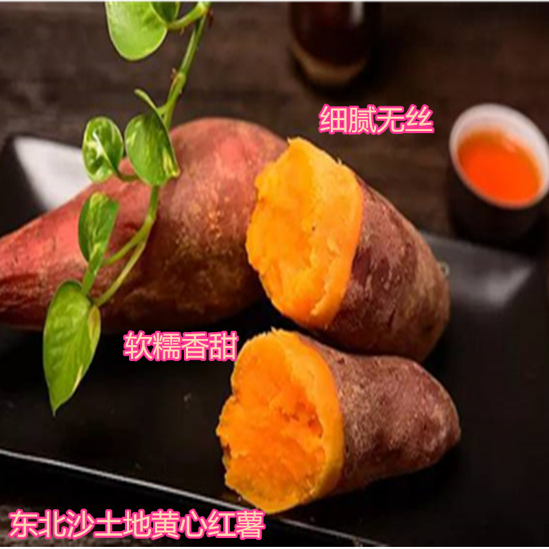东北板栗红薯地瓜蜜薯现挖沙土地红蜜薯蔬果番薯山芋5斤包邮