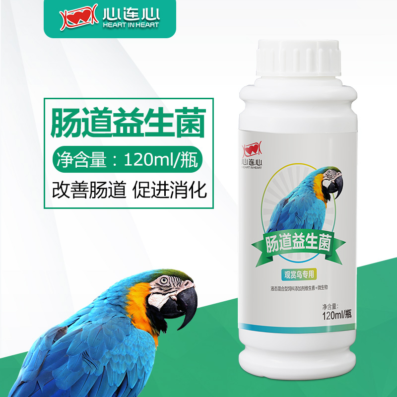 心连心鹦鹉鸟专用药鹦鹉鸟保健品鸟益生菌磷钙液组合鸟营养用品