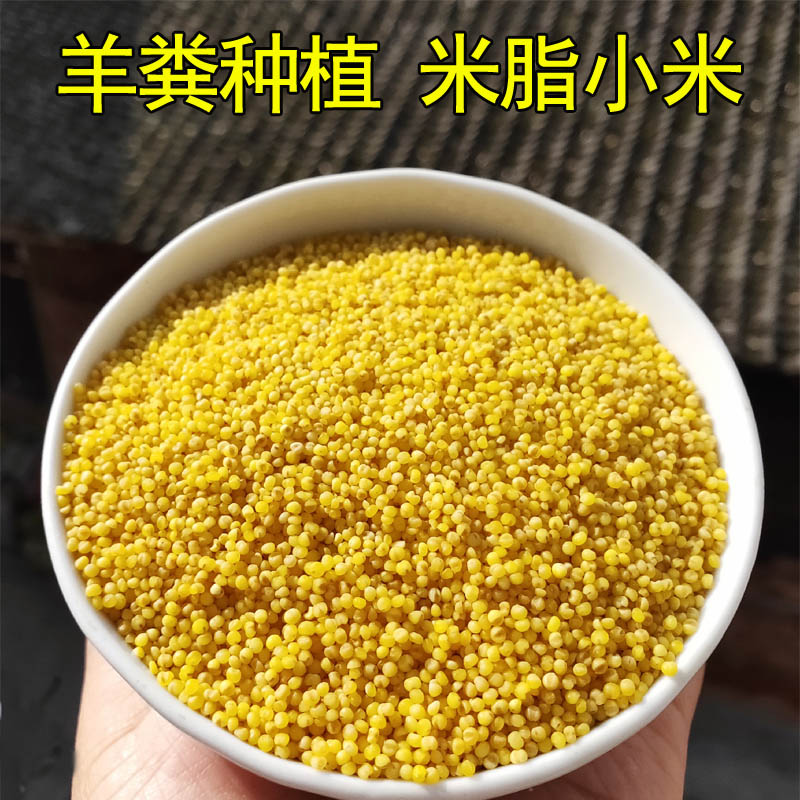 陕北农家自种米脂小米2023年新米黄小米食用农家月子米小米粥5斤