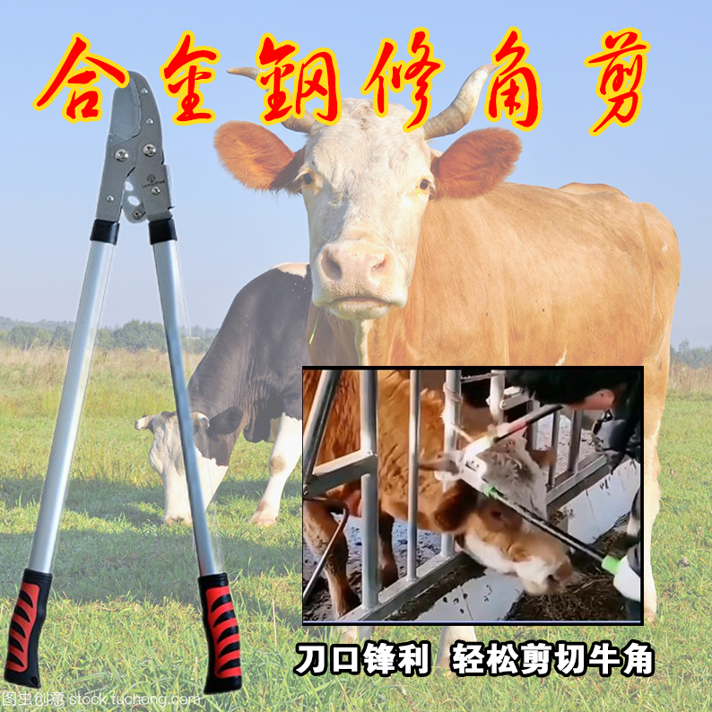 大牛去角器手拉牛角剪牛角切割器牛锯角设备断犄角畜牧养殖器械