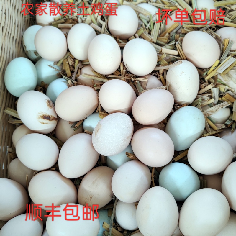 土鸡蛋贵州正宗散养新鲜现发孕妇蛋高营养包邮