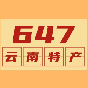 647云南特产店保健食品厂
