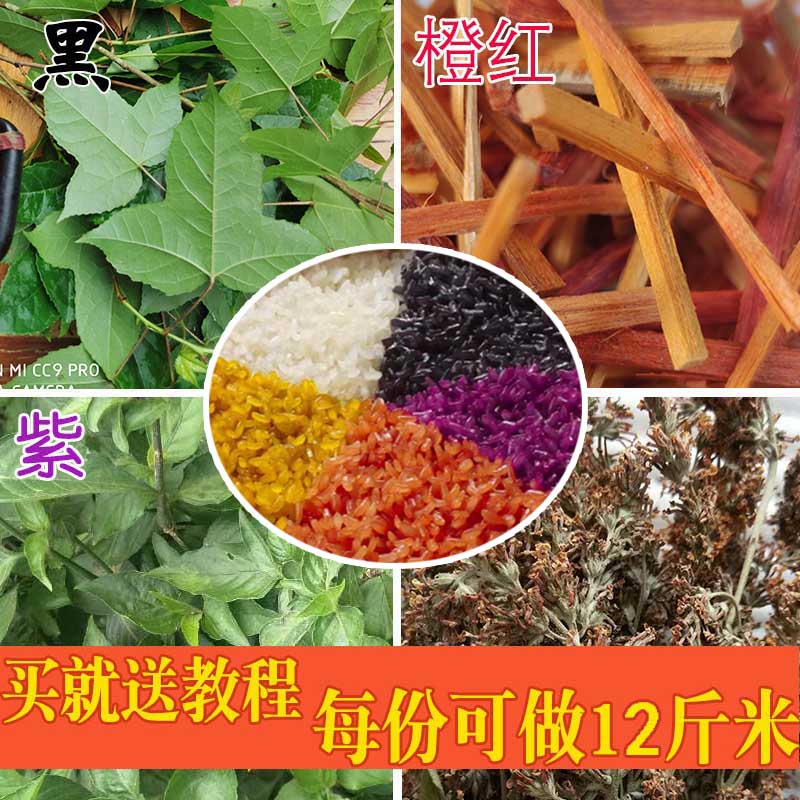 广西三月三清明节五色糯米饭植物染料壮族布依族枫香叶红蓝草密蒙
