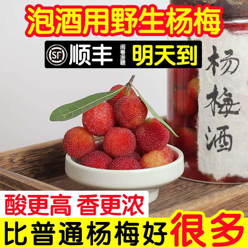 野生杨梅泡酒专用鲜果高山青红水晶白酸杨梅新鲜10斤酿酒孕妇水果