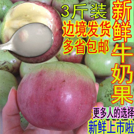 越南品种牛奶果热带新鲜水果金星果星苹果宝宝孕妇月子果3斤包邮