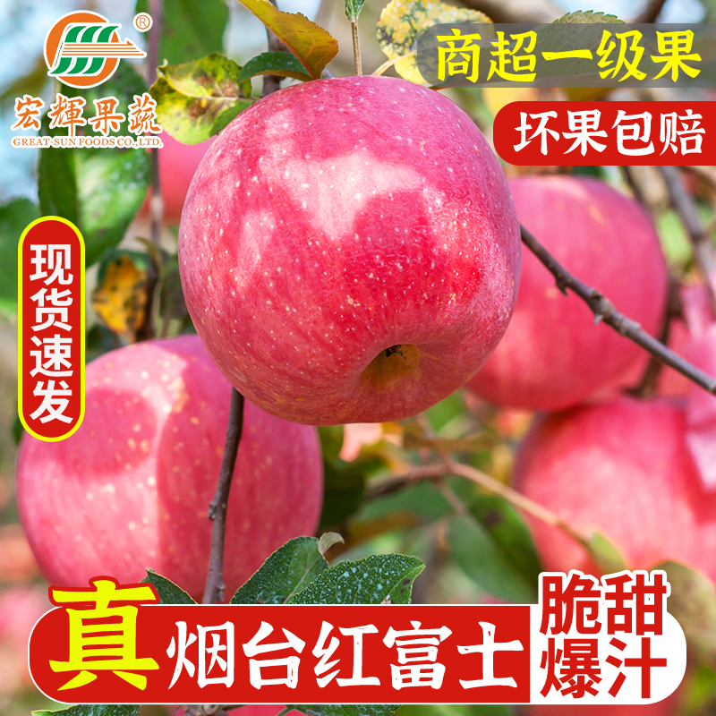 正宗山东烟台栖霞供商超脆红富士苹果当季新鲜水果丑苹果5斤整箱