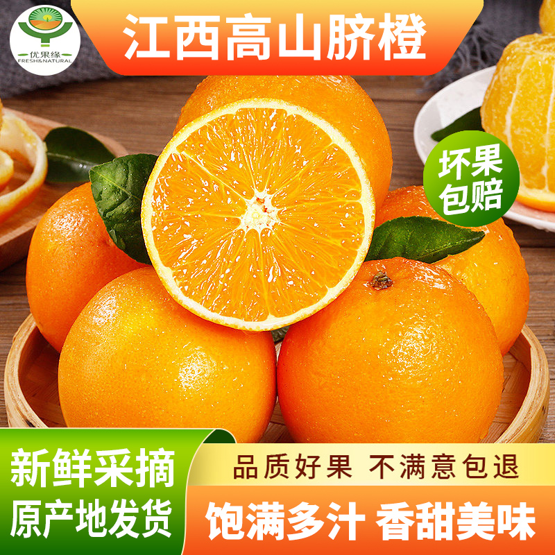 正宗高山赣南脐橙新鲜现摘应季水果10斤橙子自家果园产地直发特级
