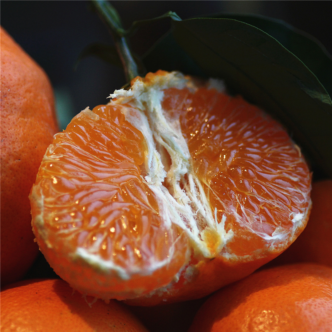 售罄 明日见柑橘新品种风味十足 甜酸浓郁多汁 四川孕妇水果