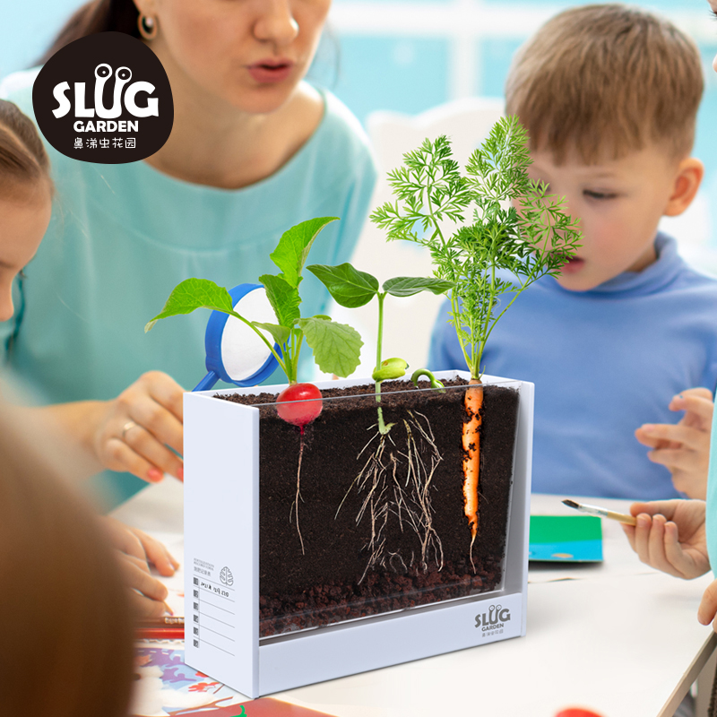 鼻涕虫花园 成长日记礼盒儿童植物观察窗diy种子生长盒迷你小盆栽
