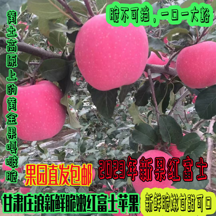 甘肃庄浪大苹果红富士 2023年新果 新鲜脆嫩甘甜整箱包邮静宁品种