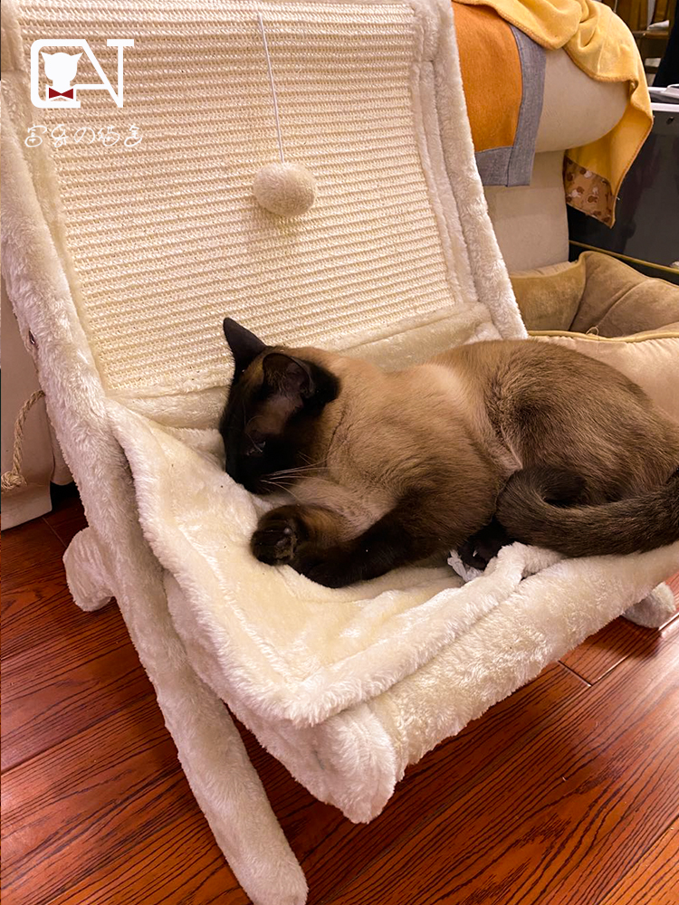 猫躺椅摇床窝冬季保暖深度睡眠四季通用可拆洗剑麻瓦楞纸麻绳网红