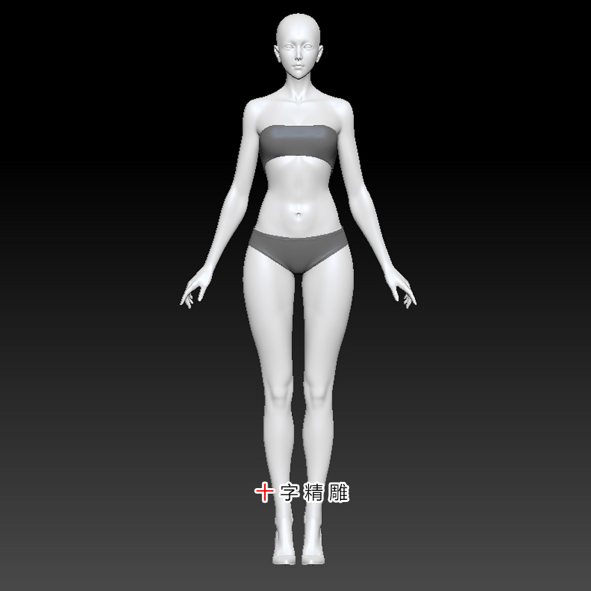 女性stl人体模型zb模特rhino犀牛maya手办c4d圆雕3d打印美女max