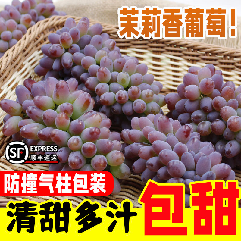 茉莉香葡萄新鲜当季孕妇水果5斤顺丰郁金香无籽红提子玫瑰香葡萄