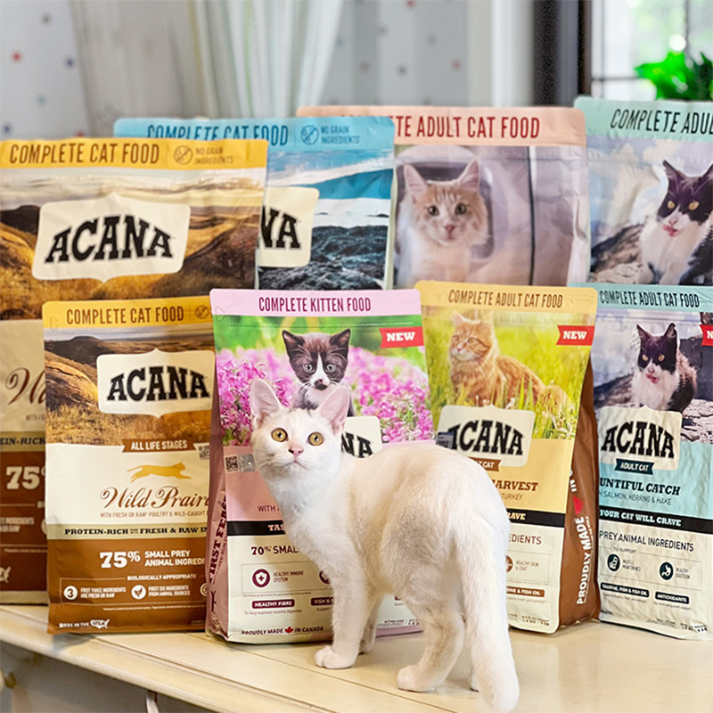 贝多芬宠物/加拿大ACANA爱肯拿美国进口全猫粮幼猫粮1.8kg/5.4Kg