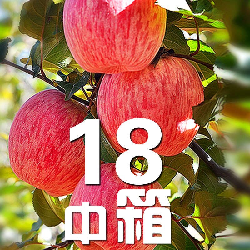 【洛川县发货】陕西洛川苹果水果新鲜当季整箱红富士脆甜10斤包邮