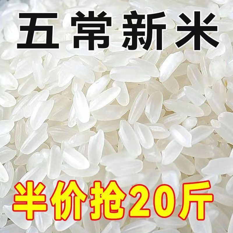 正宗五常稻香米2023年新米五常大米10斤20斤特级东北大米好吃不贵