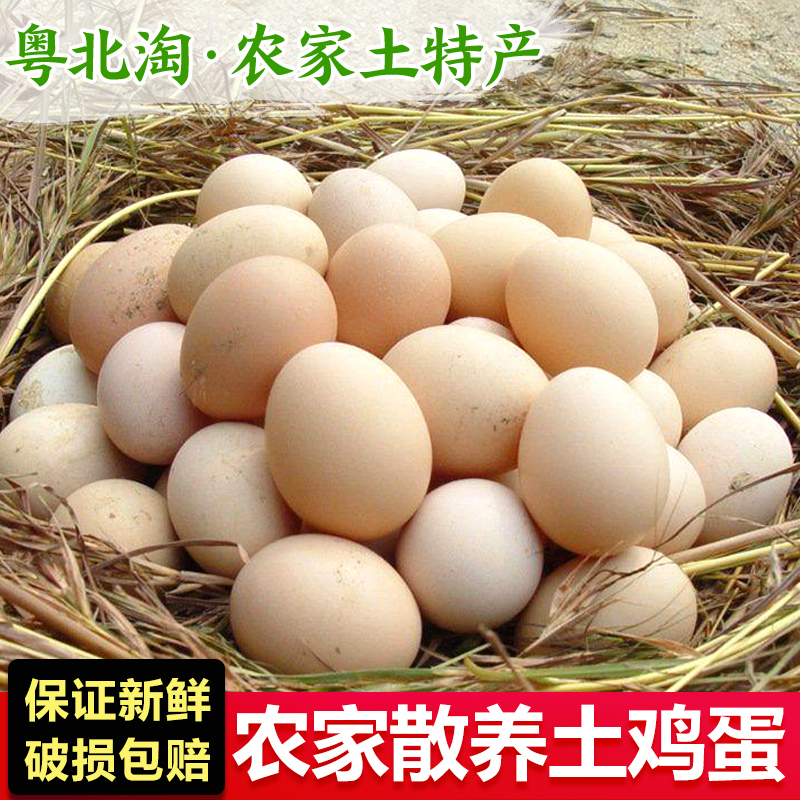 正宗韶关粤北淘农家新鲜土鸡蛋孕妇月子鸡蛋散养谷物草鸡蛋30枚