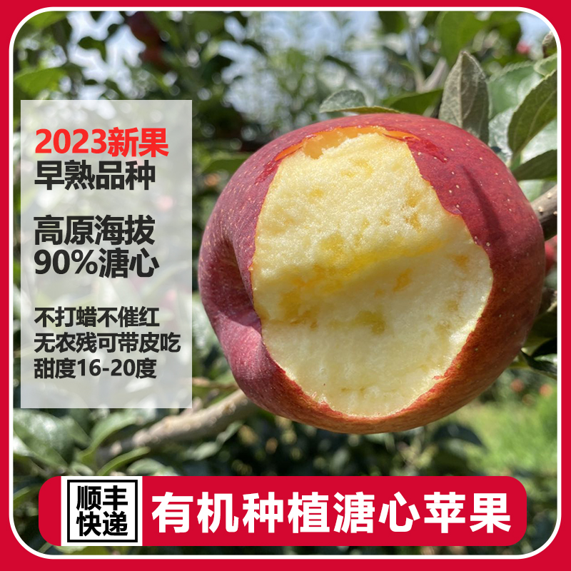2024云南溏心苹果云南无农残脆甜新鲜孕妇水果（不贴有机标）