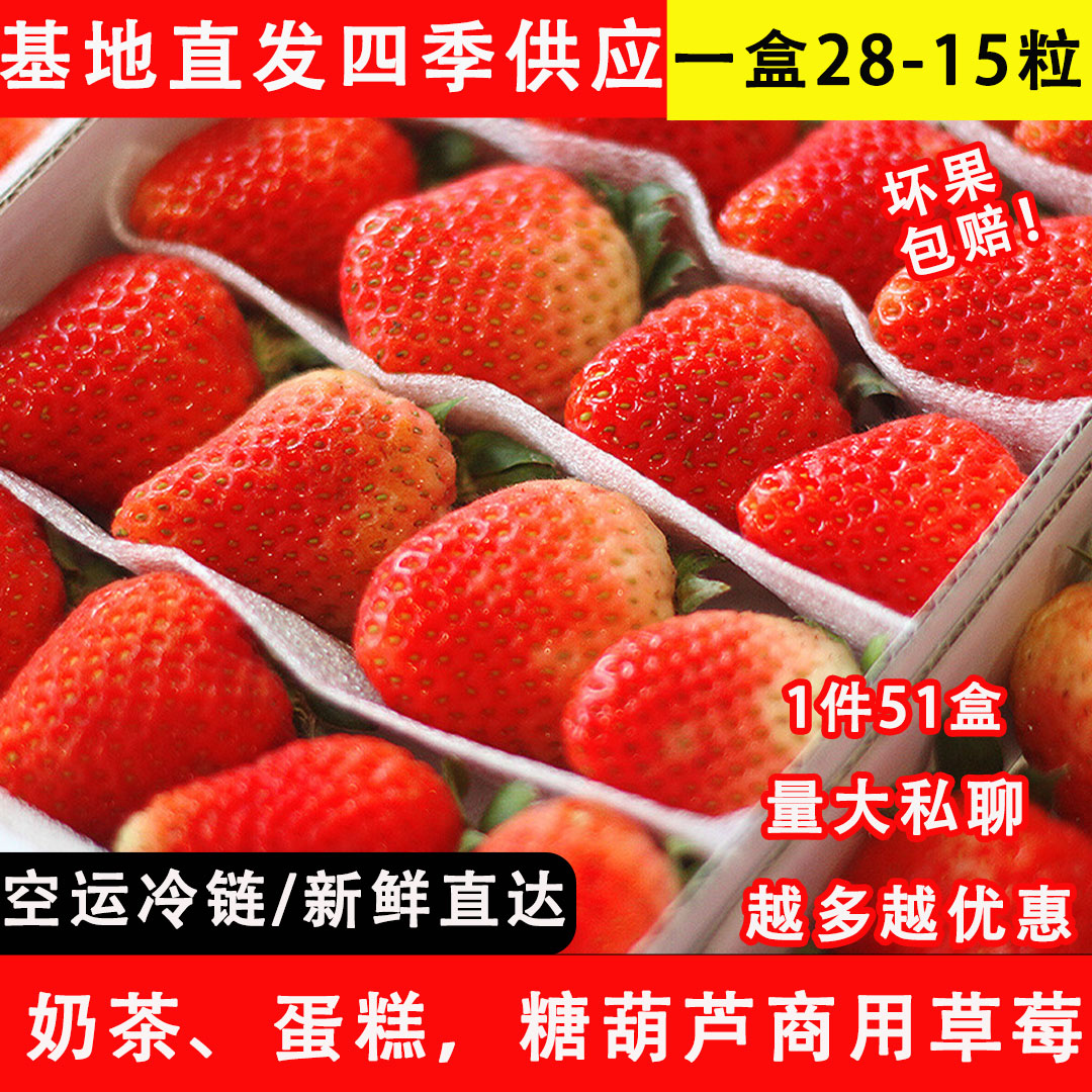 草莓新鲜商用20盒草莓孕妇水果糖葫芦烘焙蛋糕奶茶专用双流冬草莓