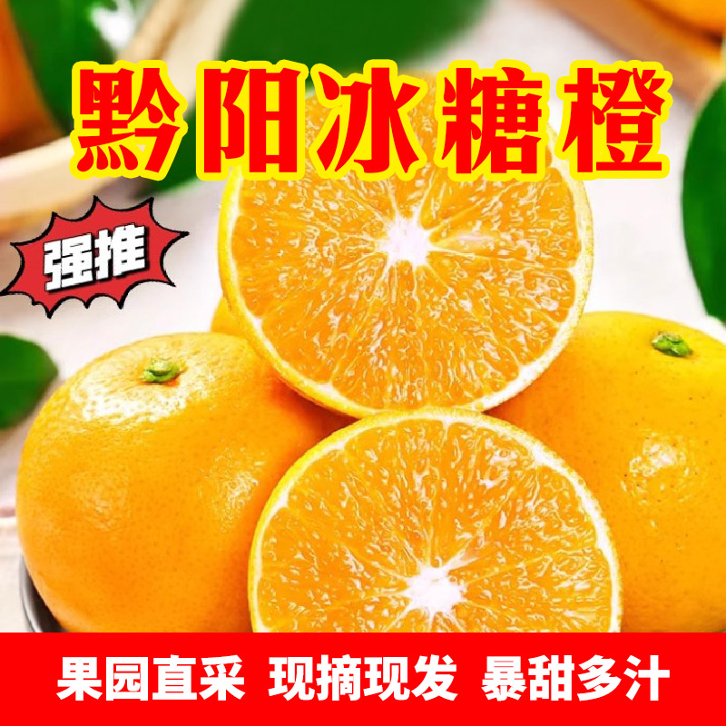 【现摘直发】湖南黔阳新鲜冰糖橙高山果园种植原生态水果10斤包邮