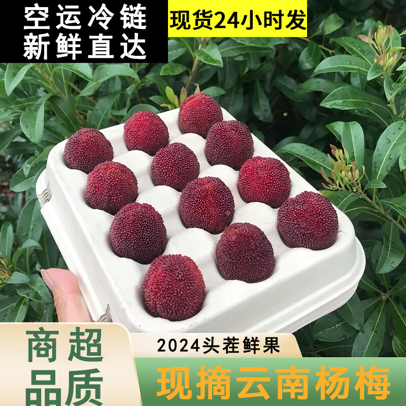 【现摘空运】24年云南新鲜杨梅 当季酸甜可口鲜果杨梅 孕妇水果