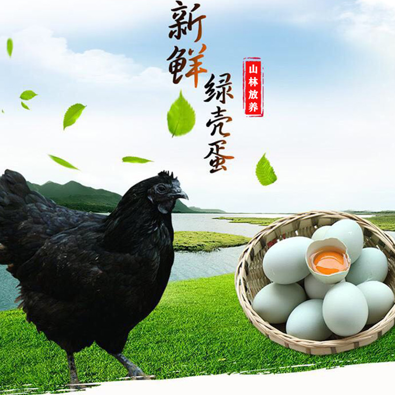 农家散养绿壳蛋 乌鸡蛋 五黑鸡蛋补品礼品新鲜高营养30枚包邮