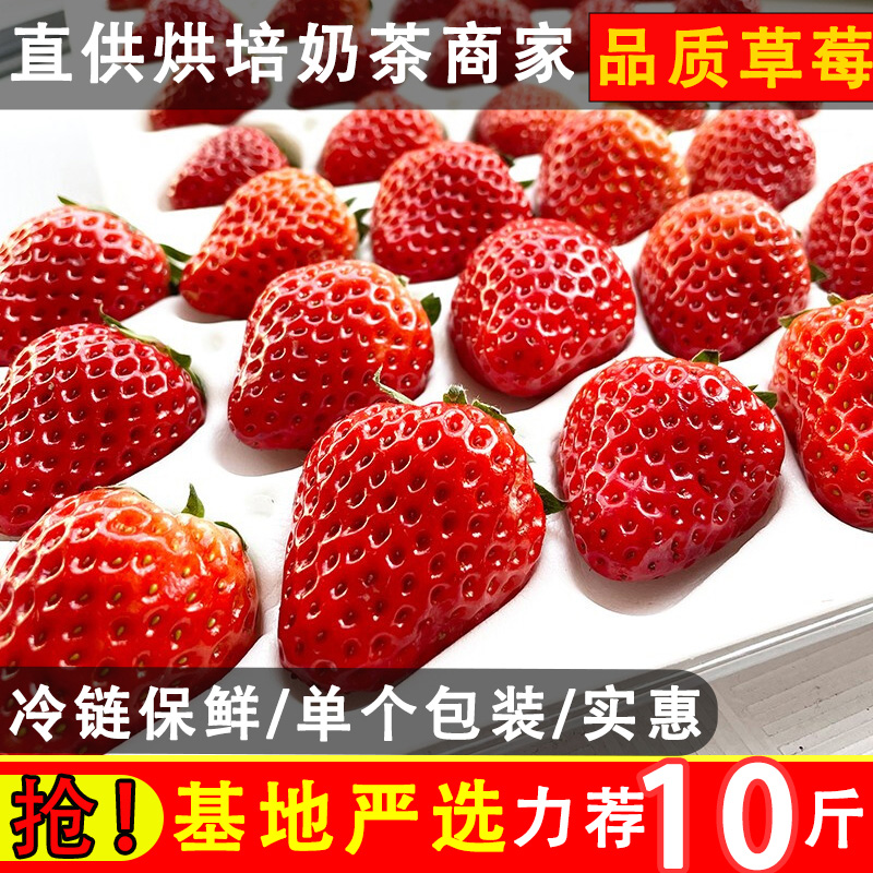 草莓新鲜商用奶油10斤孕妇水果红颜奶油草莓整箱蛋糕奶茶糖葫芦草