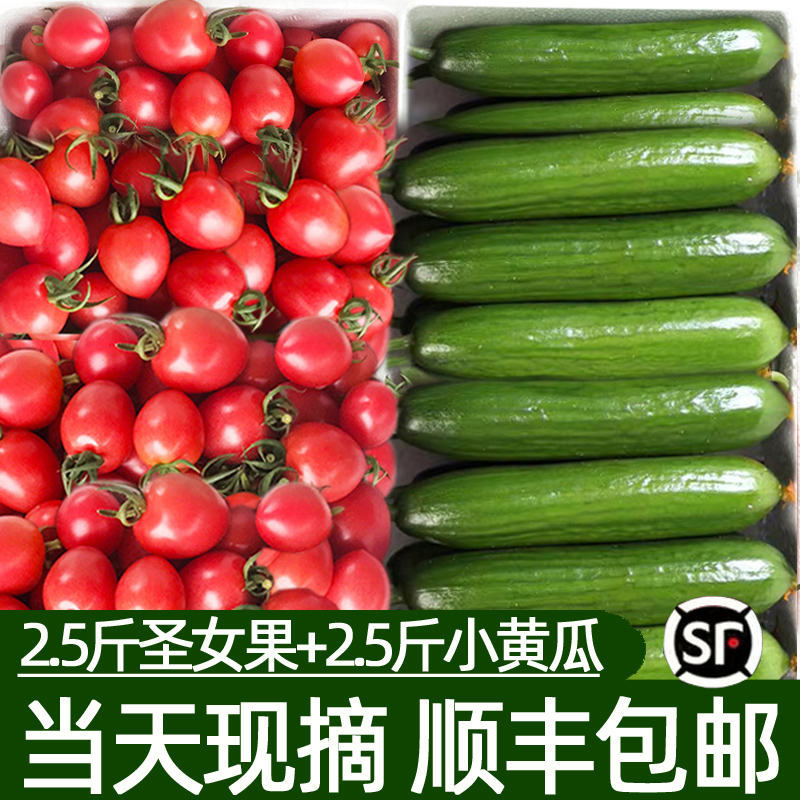 圣女果小黄瓜新鲜顺丰组合樱桃番茄水果青瓜千禧西红柿子生吃5斤