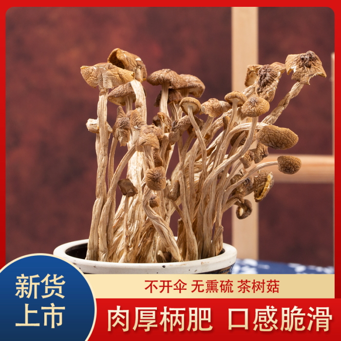 新货茶树菇干货不开伞500g包邮香菇菌特级古田茶树菌煲汤干菇食材