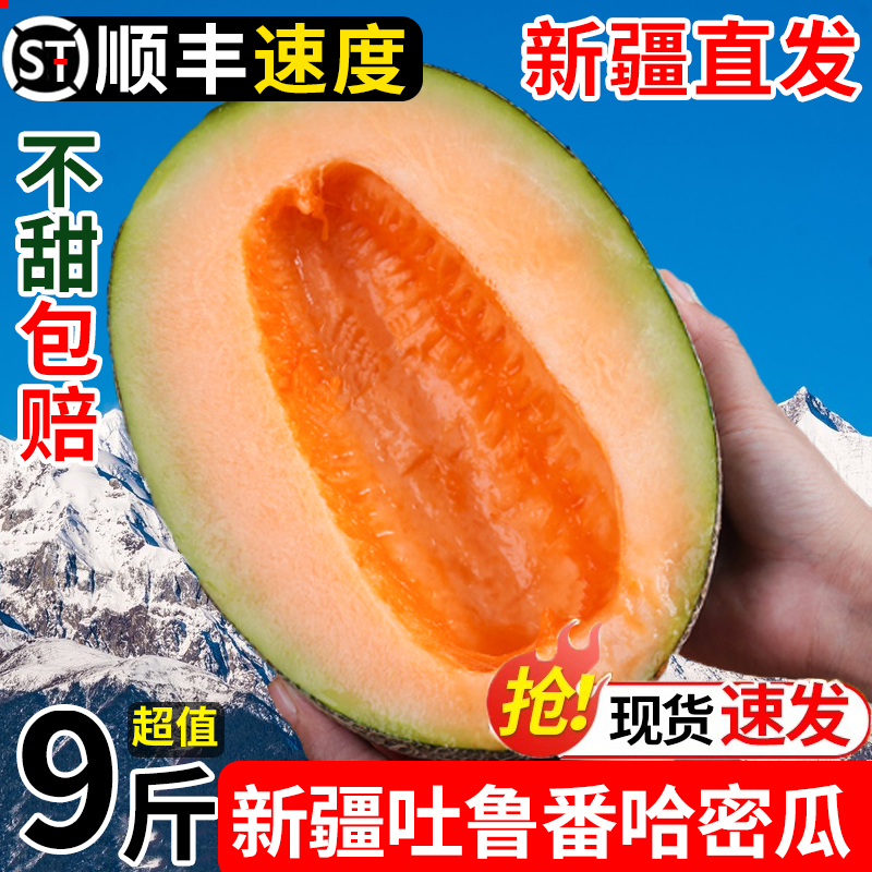 新疆哈密瓜吐鲁番西州蜜25号应当季新鲜水果甜瓜孕妇10斤甜包邮