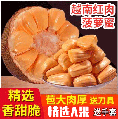 越南红肉菠萝蜜一整个9-19斤甜脆大果新鲜当季水果红心大树波罗蜜