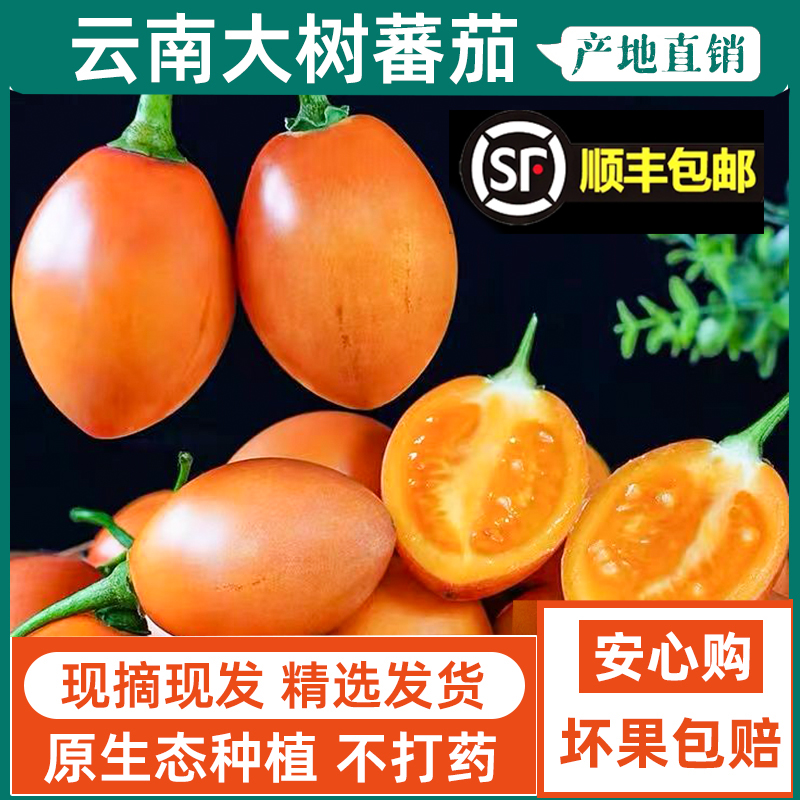 云南树番茄新鲜大树蕃茄特产洋蕃茄鸡蛋果野生孕妇水果时令蔬菜