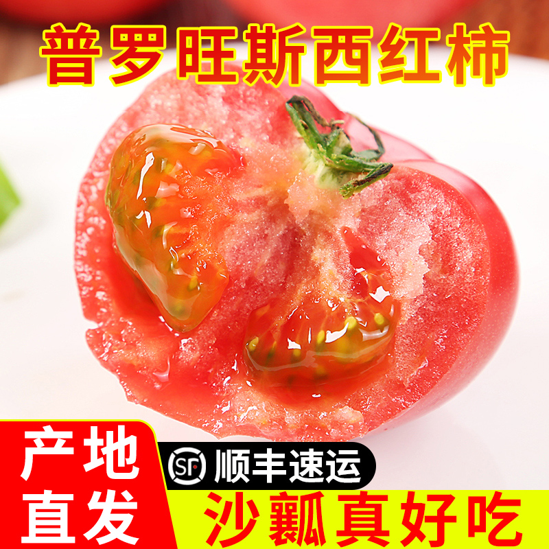 番茄西红柿泾阳新鲜生吃孕妇陕西小番茄水果自然熟沙瓤普罗旺斯