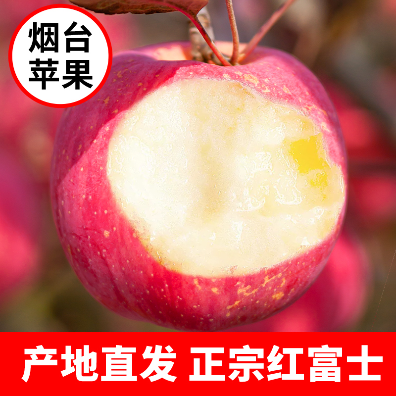 烟台红富士苹果水果5斤新鲜山东栖霞特产脆甜丑萍果当季整箱包邮