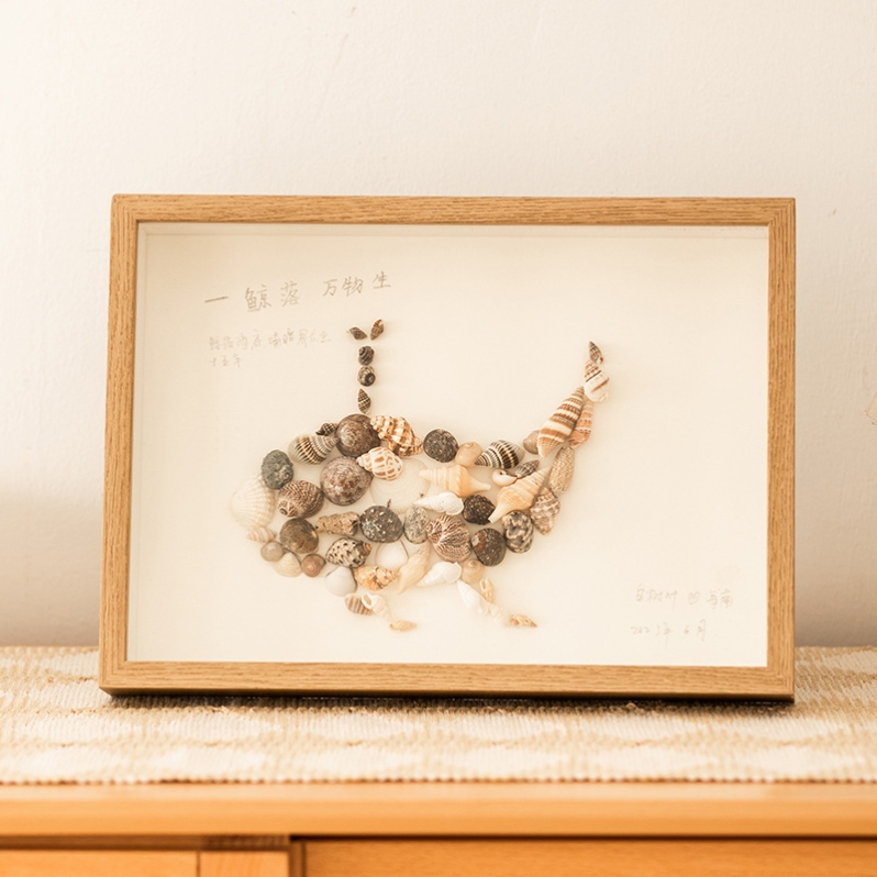 装饰收纳天然中空自制海星螺贝装贝壳的相框造景海螺漂流瓶标本