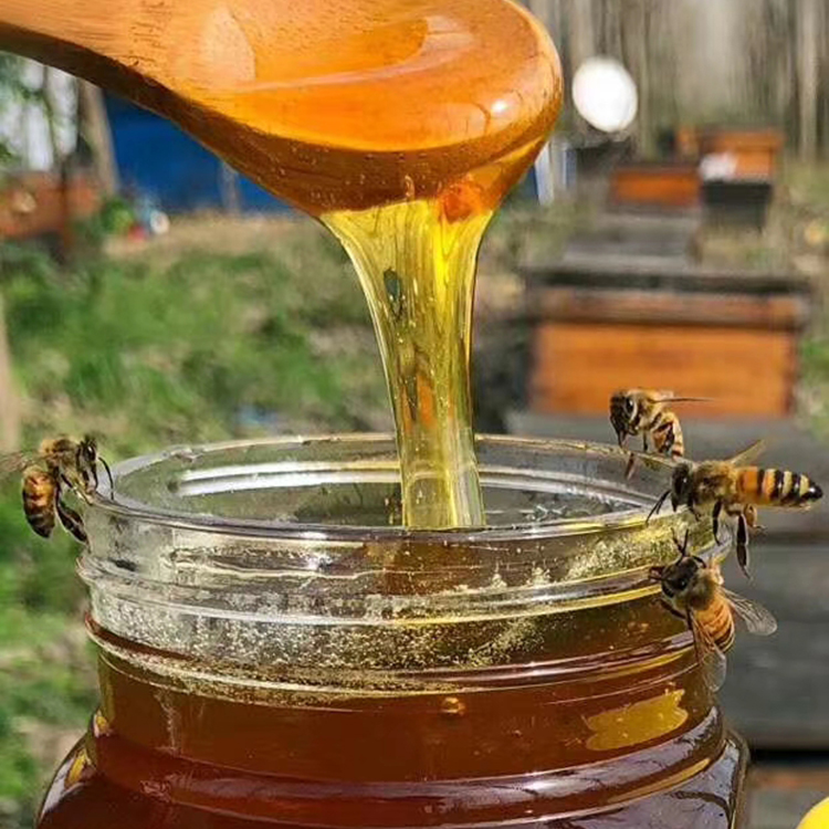 野生蜂蜜农家土蜂蜜成熟深山蜜 枣花蜜传统滋补品1瓶包邮现采500g
