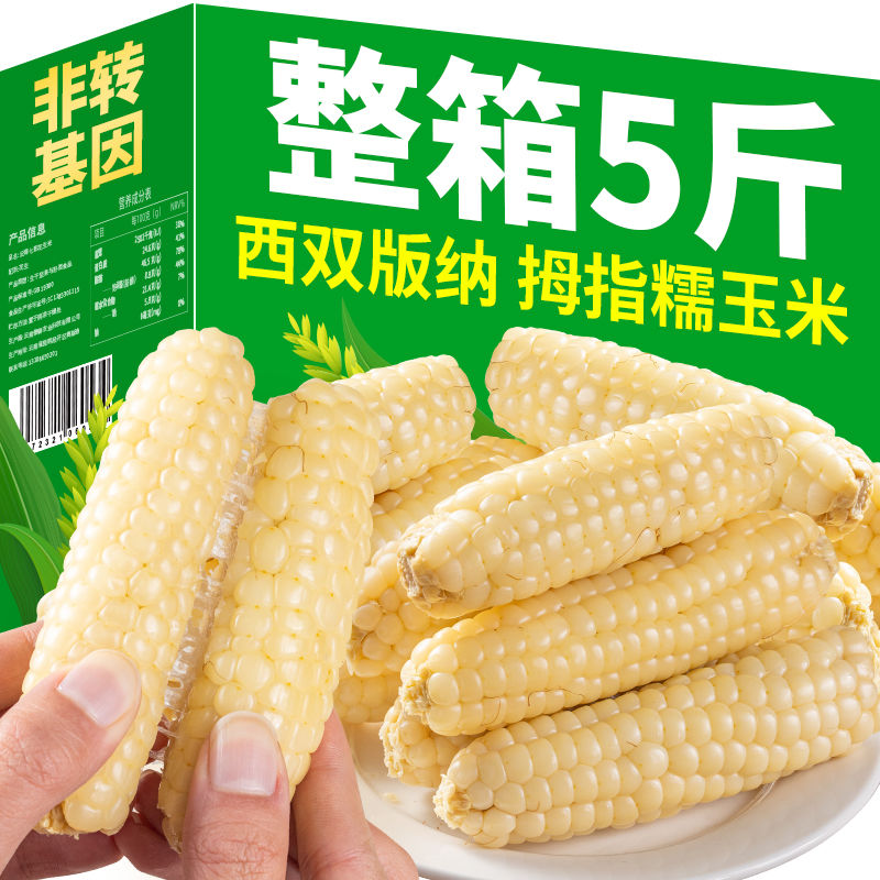 云南西双版纳拇指玉米新鲜粘玉米儿童孕妇食品小个白糯玉米礼盒装