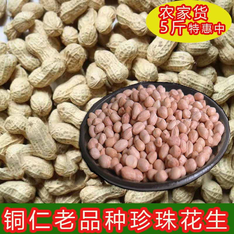2023年贵州铜仁珍珠花生松桃老品种带壳新鲜晒干手剥生吃油炸坚果