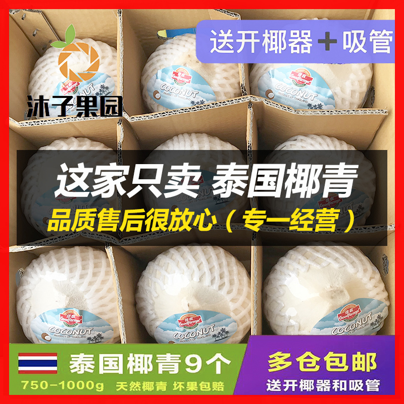 泰国椰青9个大果 进口奶香椰香水椰青 孕妇水果东泰椰子蛋包邮