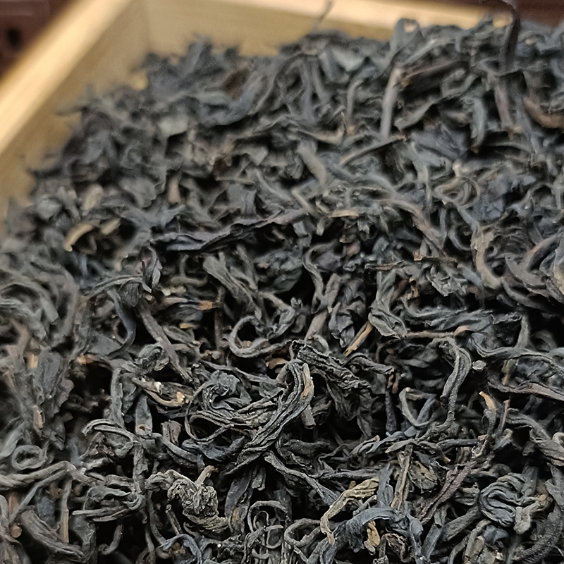 苍铭四季六堡2008年老年份广西梧州农家茶生茶六堡茶正品试喝