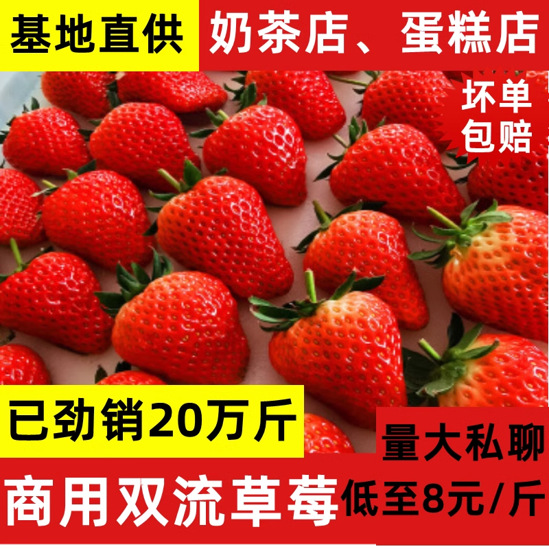 云南草莓新鲜烘焙奶茶蛋糕商用应季孕妇水果5斤奶油牛奶草莓包邮