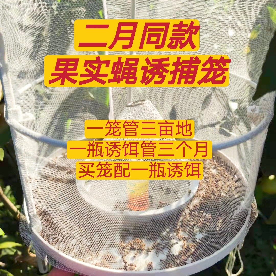 二月同款果实蝇诱捕笼，一笼管一亩地，诱饵可换告别粘蝇板诱蝇球