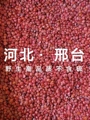 邢州农产品保健食品有限公司