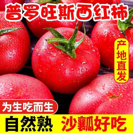 普罗旺斯沙瓤正宗西红柿水果攀枝花番茄5斤生吃当季新鲜蔬菜孕妇