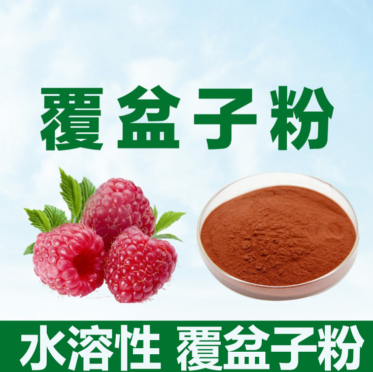 覆盆子提取物20:1 药食同源 果蔬粉树莓浓缩精华食品原料水溶粉